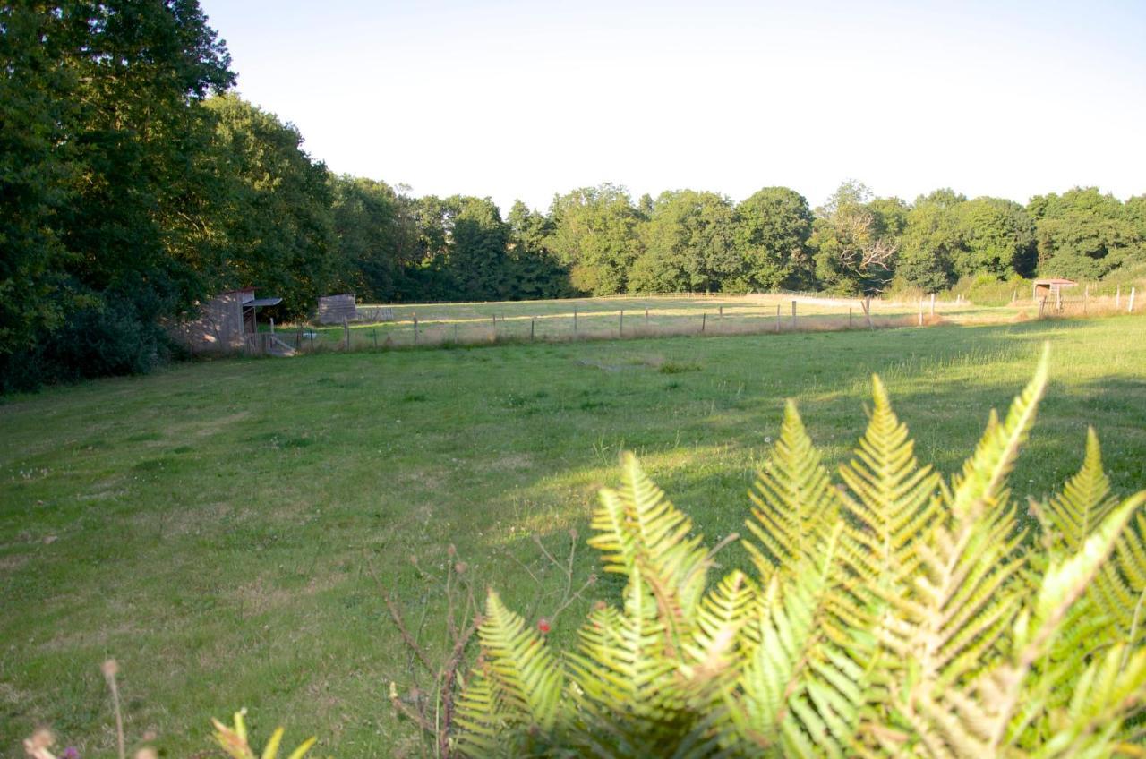 Gite Le Champ Libre Dompierre-Sur-Yon Экстерьер фото